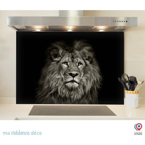 Fond de hotte : Lion - Verre trempé - 70 cm - 60 cm (1/5)