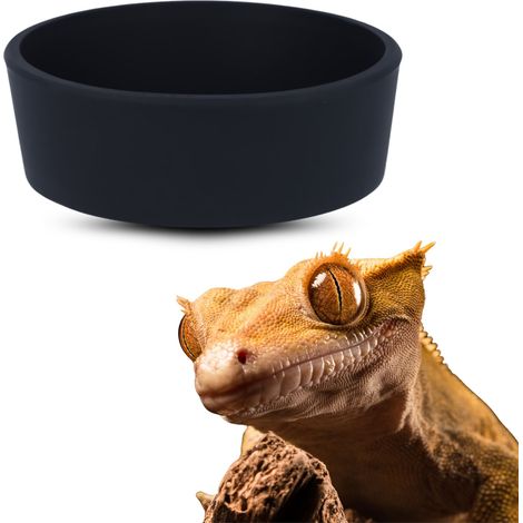 Gecko Nutrition Silikonnapf M - Silikon-Futternapf für Geckos M (1/4)
