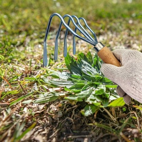 Râteau de jardinage, jardin, râteau à main en métal argenté avec manche en bois griffe houe creuser outil de pelouse 1pc (1/4)