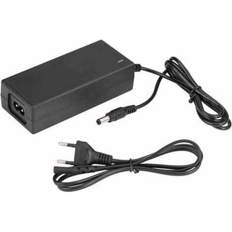 Lithium-Batterieladegerät 29,4 V 2 A – Sicheres Ladegerät für Lithium-Batterien mit Plug-and-Play-Funktion (1/5)