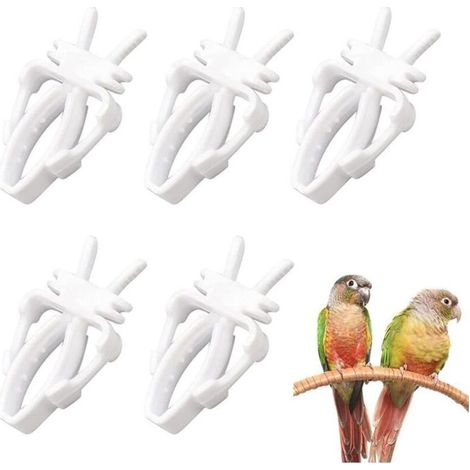 Pince à Fruits pour Oiseaux, Outil de Fruit de Perroquet Oiseaux, Porte-Nourriture pour Oiseaux, Mangeoire, 5 pièces (1/4)