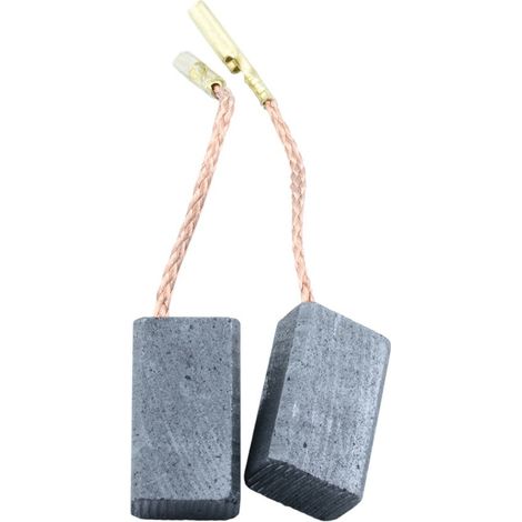 Balais de Charbon pour AEG Coupeuse/Scie WS6-100 - 6x9x15,5mm