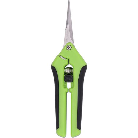 Sécateur en acier inoxydable à lames droites — Sécateur tranchant — Outils de jardin — Cisaille à fleurs — 16,5 cm (1/4)
