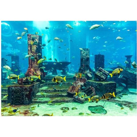 Décoration murale d'aquarium fond marin 61x30cm, poster autocollant pour poissons (1/5)