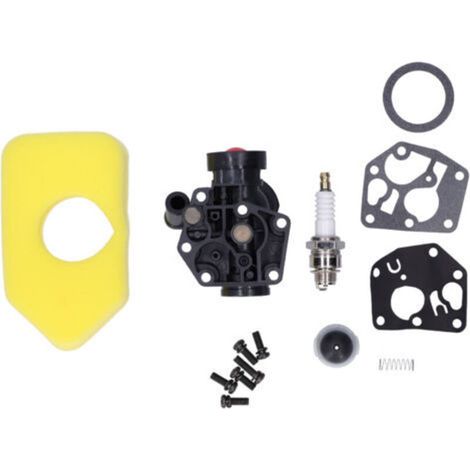 Filtre à Air Compatible pour Moteurs Briggs Stratton 795469 794147 699660 794161 498811 698369 -KZQ (1/5)