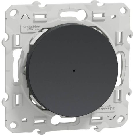 Bouton poussoir - 10 A - Zigbee - Odace - Wiser - S540530W - Schneider - Anthracite (1/5)