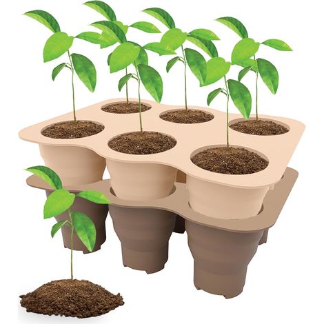 Lot de 2 Plateaux de Pots de semis en Silicone, Plateau de graines de Plantes, Tasse de Germination pour la Propagation des Plantes en intérieur (1/5)