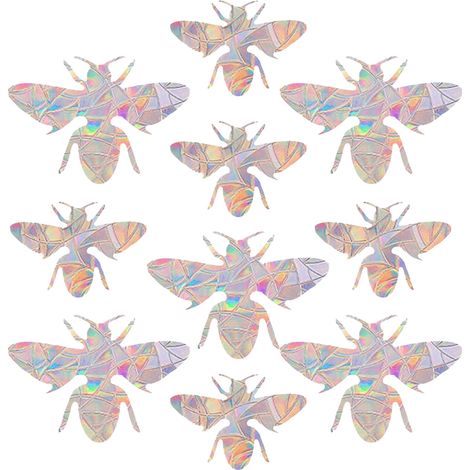Autocollants statiques anti-collision pour vitres, protègent contre les collisions d'oiseaux et empêchent les oiseaux de percuter les fenêtres. (1/5)