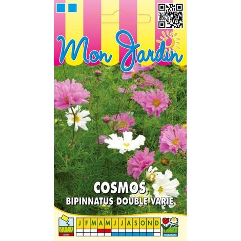 Cosmos bipinatus double varié - 1g