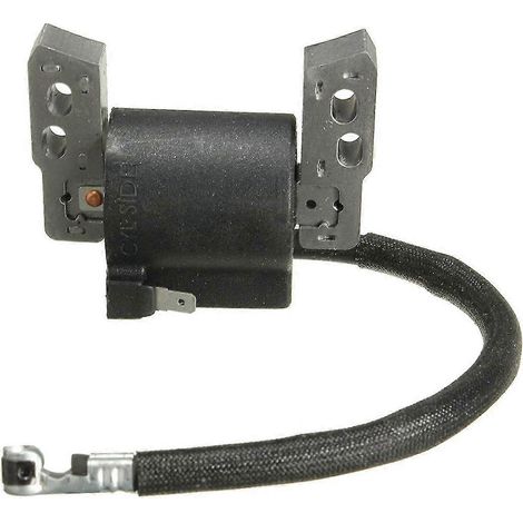 Bobine d'allumage électronique pour tondeuse (noire) compatible avec Briggs & Stratton 695711 802574 796964 (1/5)