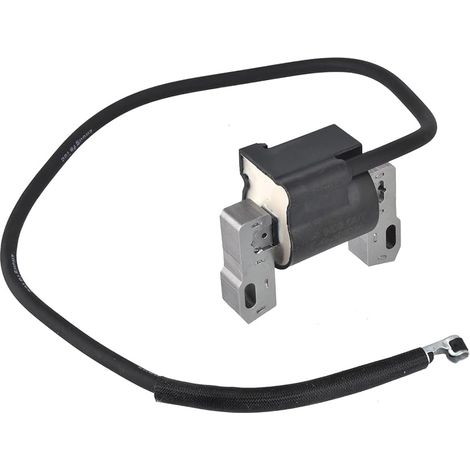Bobine d'allumage pour Briggs & Stratton 398811 395492 398265 298968 Armature Magneto (1/5)