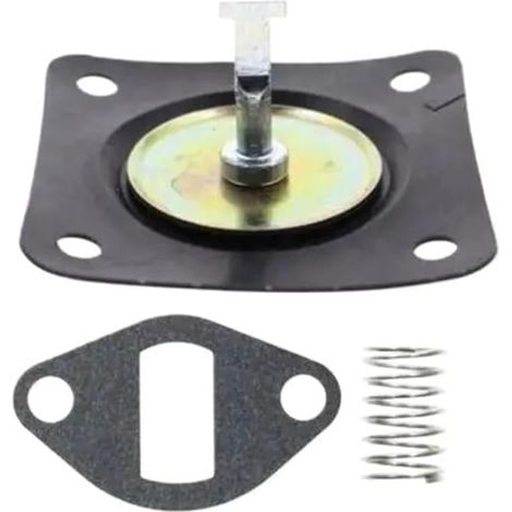 Kit de réparation de pompe à carburant 230675, adapté aux tracteurs et générateurs Kohler et Onan. (1/3)