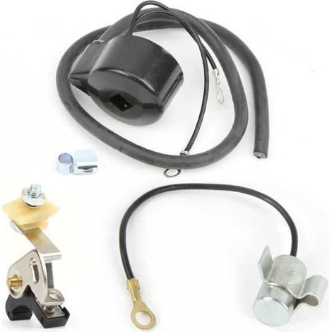 Kit d'allumage pour Tecumseh LAV 30/35 (1/4)