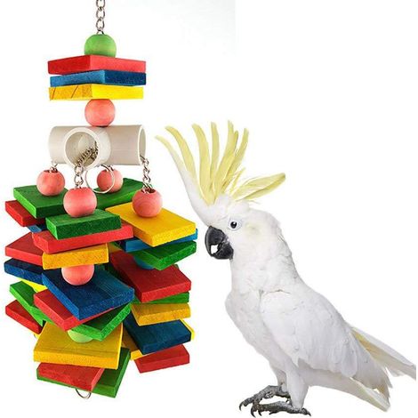 Jouet en bois pour perroquet, accessoire de nourrissage oiseau, jouet à mâcher résistant pour perroquets, conures, diamants mandarins, alouettes, aras, amazones - 1 pièce (1/5)