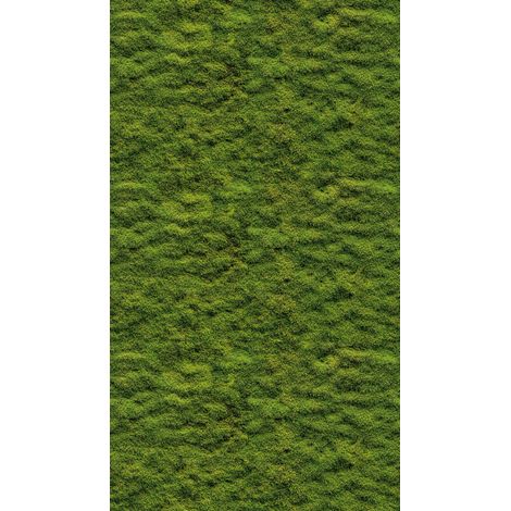 Panoramique Nature Vert The Wall 3 A.S. Création (1/3)