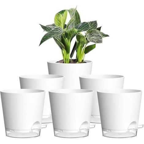 6er Set Selbstbewässerungstopf – 15cm Blumentopf mit Bewässerungssystem, selbstwässernder Blumentopf in Matter Optik, für Balkon & Innenbereich, Weiß mit klarem Untersetzer