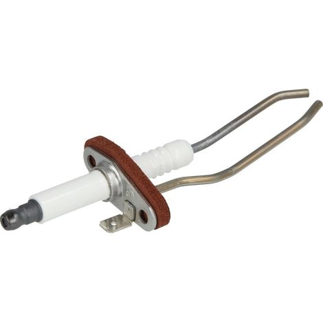 Electrode d'allumage et d'ionisation avec joint