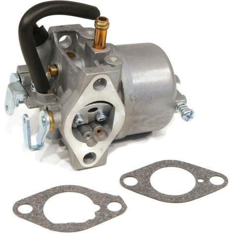 Vergaser mit Dichtungen für John Deere LX178 Traktormotoren AM122614 AM109051 AM117822