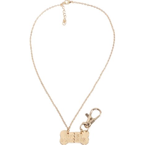 Alliage propriétaire et animal de compagnie paire os de chien 2 épissage collier étiquette chaîne pendentifs fendus doré blanc mot épissure pendentif ensemble (1/5)