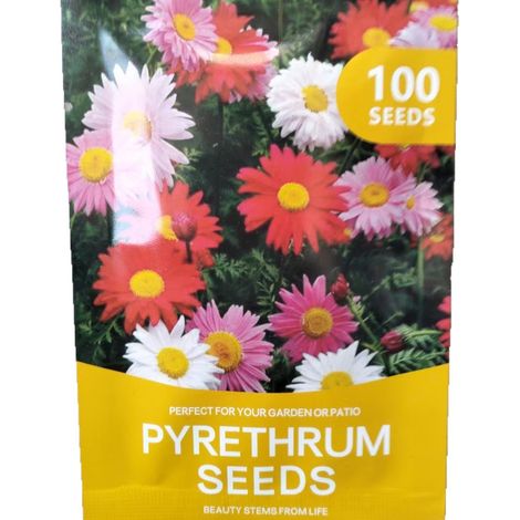 Chrysanthemensamen, 100 Stück, trockenheitsverträgliche Stauden, locken Bestäuber an, ideal als Schnittblumen, für Garten und Landschaftsgestaltung, pflegeleicht