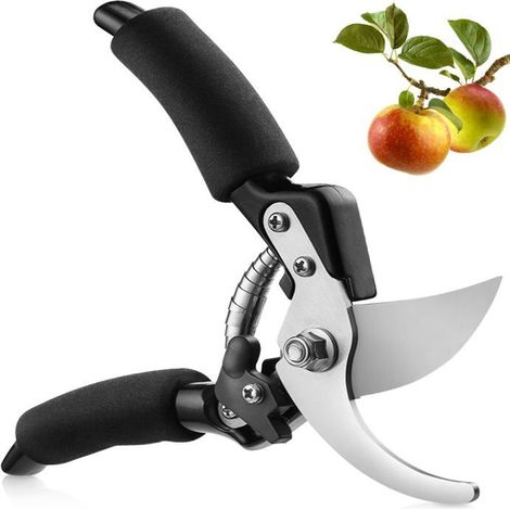 BelleRise - Professionnel titane tonceaux de jardin, tonceaux de jardin, tonceaux de jardin, tonceaux de jardin, tonceaux de jardin cadeau(noir) (1/5)