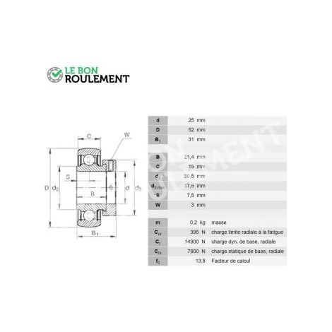 Roulement de palier RAE25-NPP-B-INA