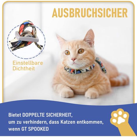 Harnais et laisse réglables pour chat - Ensemble de promenade confortable et sécurisé (1/5)