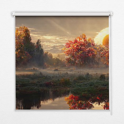 Innenrollo Fensterrollo - Rollo ohne Bohren - Sichtschutzrollo - Lichtdurchlässiges Rollo - Rechteckiges - Rollo - (90 cm x 140 cm) - Sonnenuntergang hinter den Bäumen (1/5)