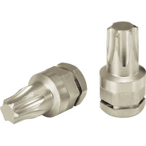 Mini embout pour vis Torx, T8