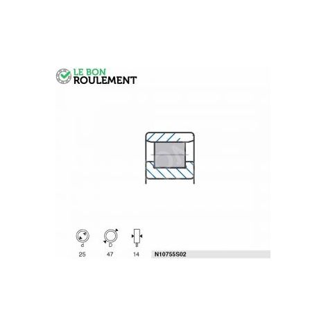 Roulement à rouleaux N10755S02-SNR