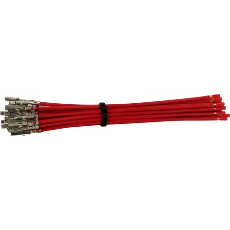 Connecteur terminal Molex Mini Fit-f- avec cable de 10 cm rouge