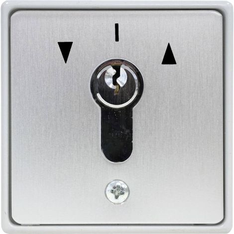Kaiser Nienhaus 322200 Pulsante a chiave per apricancelli Da incasso (1/2)
