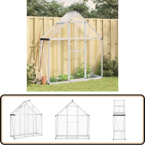 Serre avec cadre de base argent 169x58x195 cm aluminium - Serre De Jardin - Serre Portable - Serre En Polycarbonate - Abri Jardin - Protection Plante