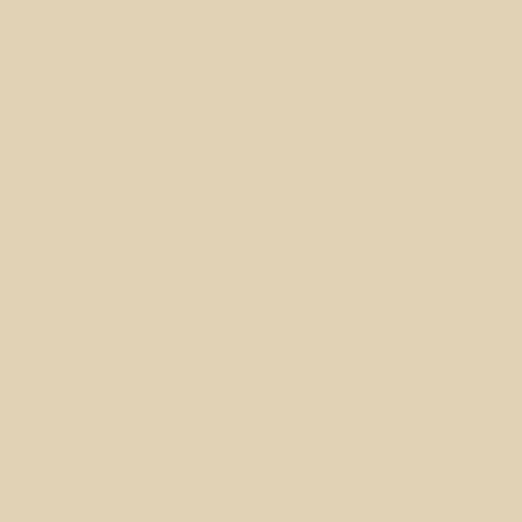 Grès cérame COLORS Colors Amande (natural pearl) 5535 M 20x20cm