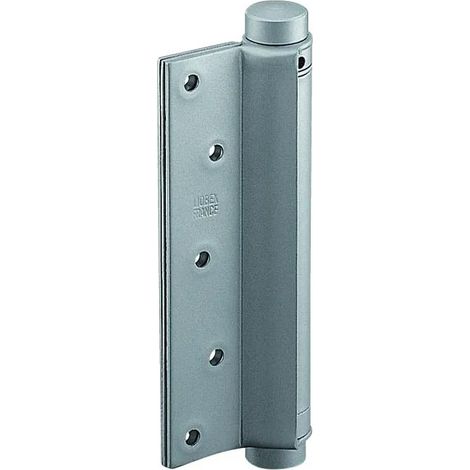Charnière / 2 ressorts vernis s.a n°1