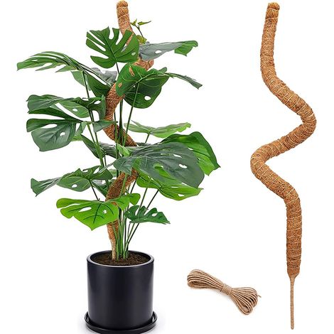 Poteau en mousse de 48 pouces, poteau en mousse pliable pour plantes Monstera, poteaux en mousse pour plantes grimpantes d'intérieur (1/5)
