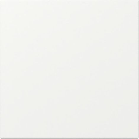 Gira WIPPE GERADE RWS M (349627 SYSTEM 55)
