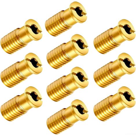 d'Ancrage Laiton pour Bâche Piscine 0.63 Pouces d'Ancrage Laiton(C) Laiton massif, anti-rouille, filetage 0.63 pouce, pour bâches hiver, extérieur durable (1/5)