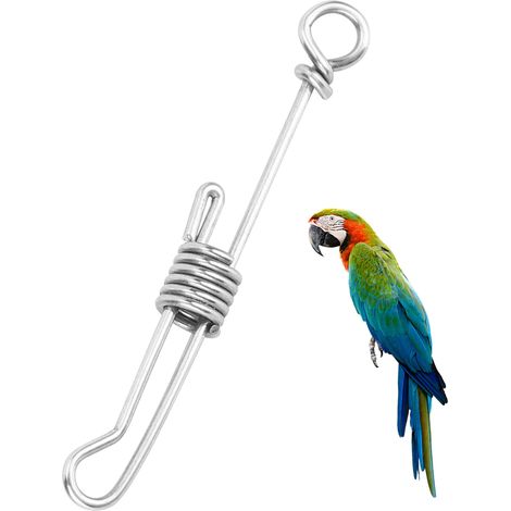 Jeffergarden Anneau de cheville de chane de pied d'acier inoxydable d'entranement Anti-vol d'oiseau de perroquet d'animal de compagnie (taille moyenne) (1/5)