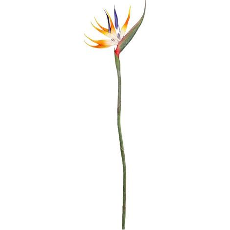 Fleur D'oiseau de Paradis, Plantes Vertes Authentiques pour la Maison, Le Jardin, Le Bureau, Les Décorations de Mariage (220318XY03-1)