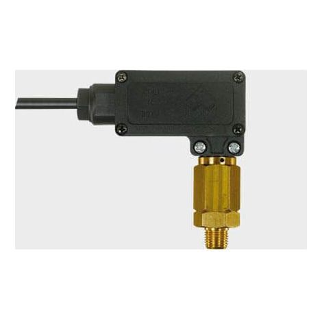 Pressostat haute pression 1/4 25 bar – Seuil de pression 25 BAR – Pour chantiers humides et terrains accidentés – Hp Concept