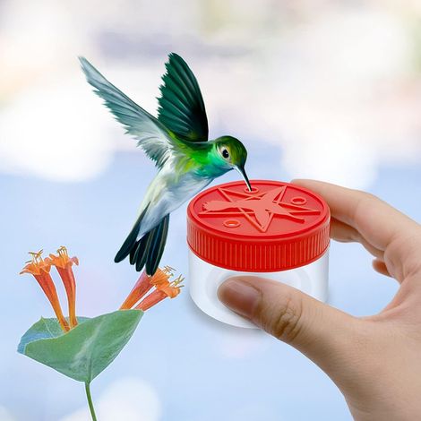 Mangeoire à main pour colibris, mangeoire bouteille, mangeoire à oiseaux portable en forme d'étoile (1/5)
