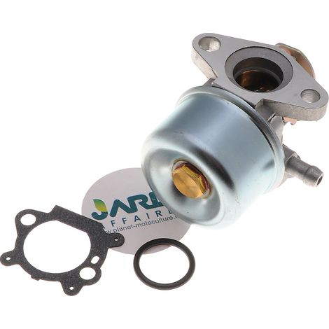 Jardiaffaires – Carburateur compatible Briggs & Stratton – Remplace 790978 – Montage sans modification – Entraxe de fixation 46mm (1/3)