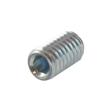 Vis Tête Creuse Hexagonale 6 Pans M6 X 12mm Origine Stiga.
