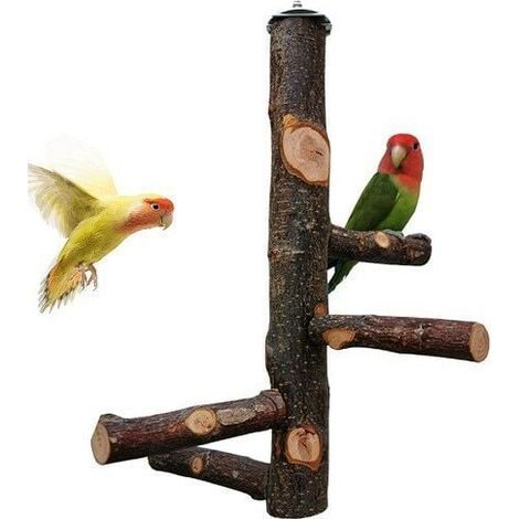 Percha de madera natural para jaulas de loros. Para 3 o 4 pájaros pequeños. Fácil instalación con tuerca de mariposa. Altura: 30 cm. (1/5)