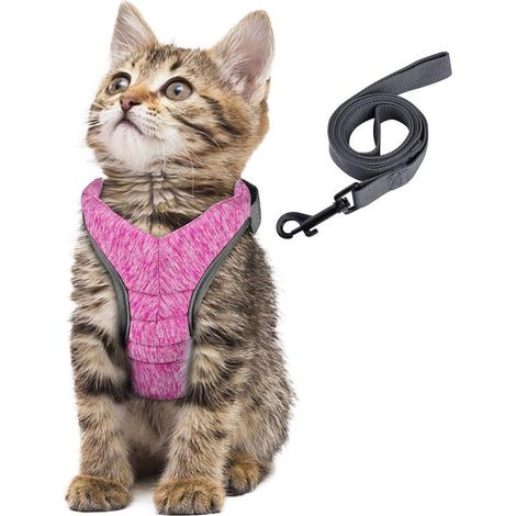 Harnais Chat Harnais Petit Chien et Chiot, Laisse Harnais Chaton Réglable, Gilet Respirant Sécurité Balade Amorti et Anti-évasion, pour Chats, Chiots et Lapins (Rose-S)-Fei Yu (1/5)