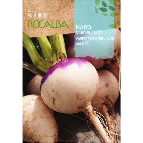 Rokalba -Samen Nabo Blanco Globo Colo Roxo (60d 100G