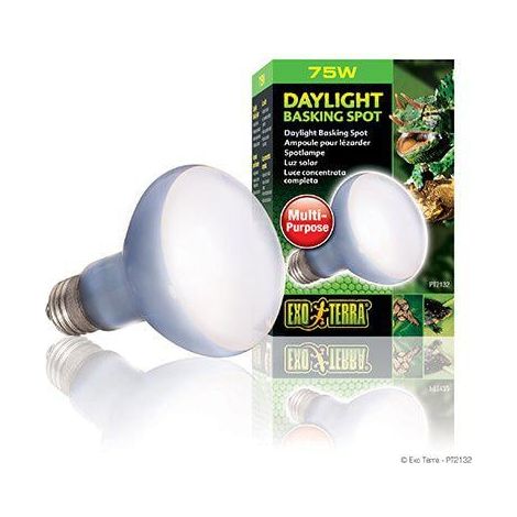 Exo Terra Daylight Basking Spot, 75W