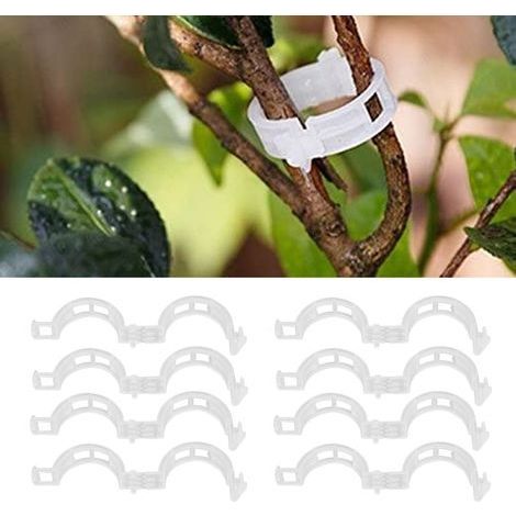 200 Pflanzenclips, Pflanzenbefestigungsclips, Rankbinder, Tomaten- und Bohnenstützen, Veredelungswerkzeug, 50 Stück/Packung, DUBUNS (1/5)