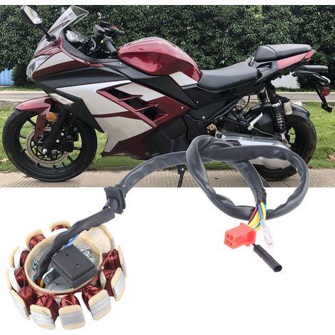 11-polige Magnetspule für 150-cm³-GY6-Rollermotoren – Ersatzstator (1/5)